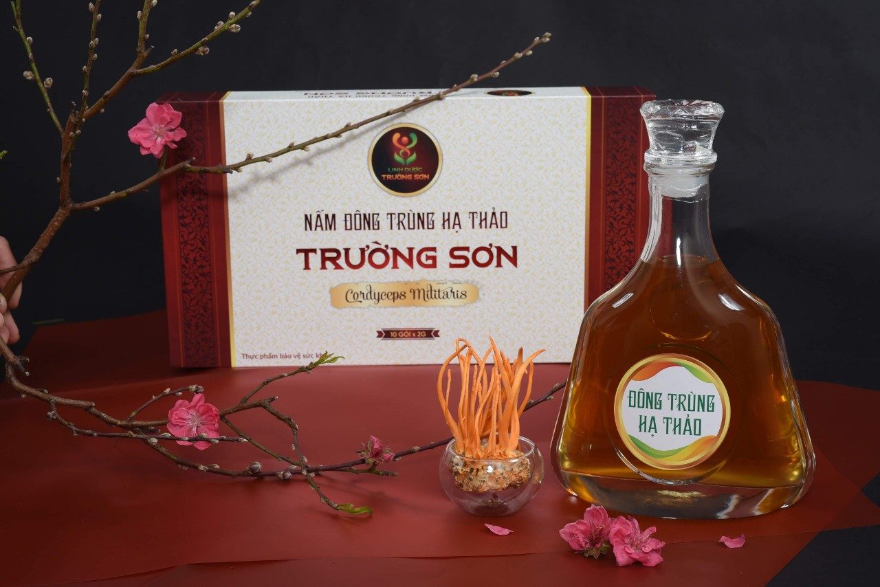 Hộp quà nấm đông trùng hạ thảo Trường Sơn Cordyceps militaris